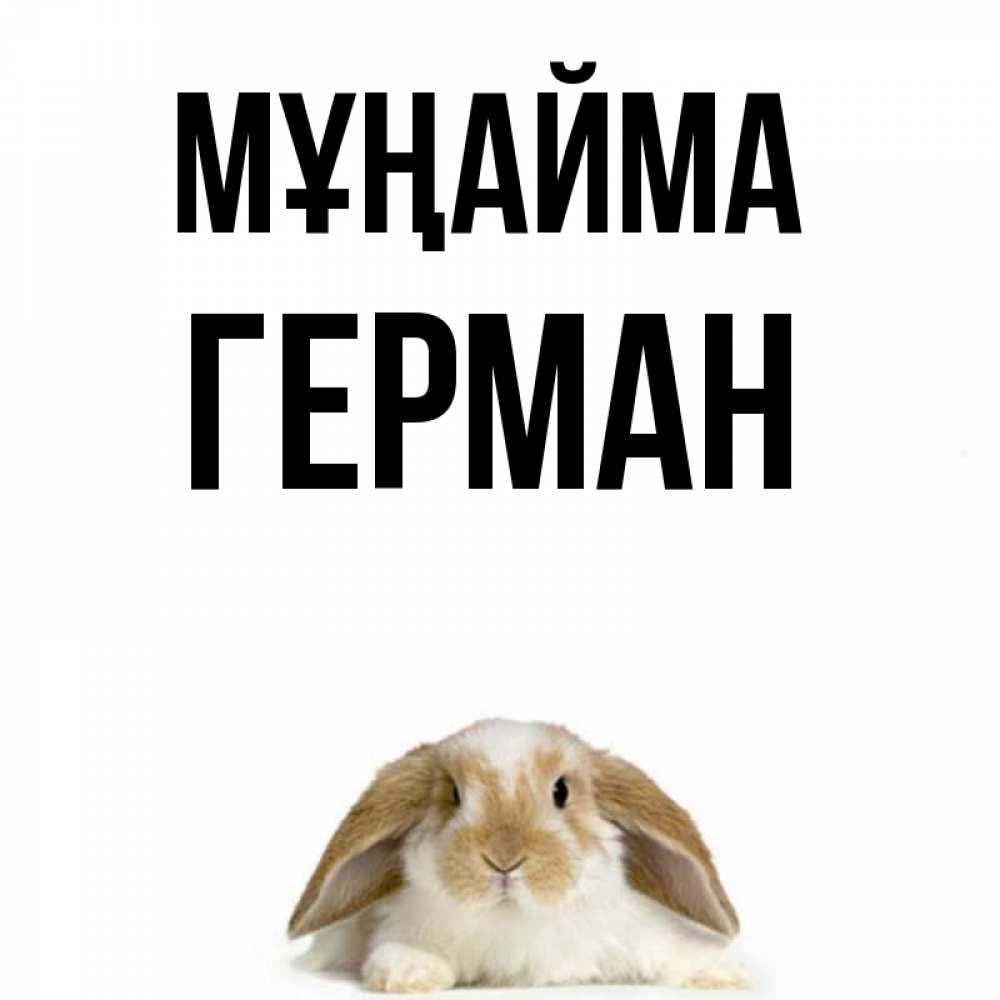 Күн сайын ашық хат с именем, Герман Мұңайма коричнево белый заяц с большими ушками Онлайн тегін жүктеп алу тілектері бар керемет карта 