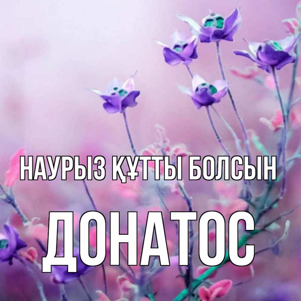 Күн сайын ашық хат с именем, Донатос Наурыз құтты болсын наурыз  2 Онлайн тегін жүктеп алу тілектері бар керемет карта 