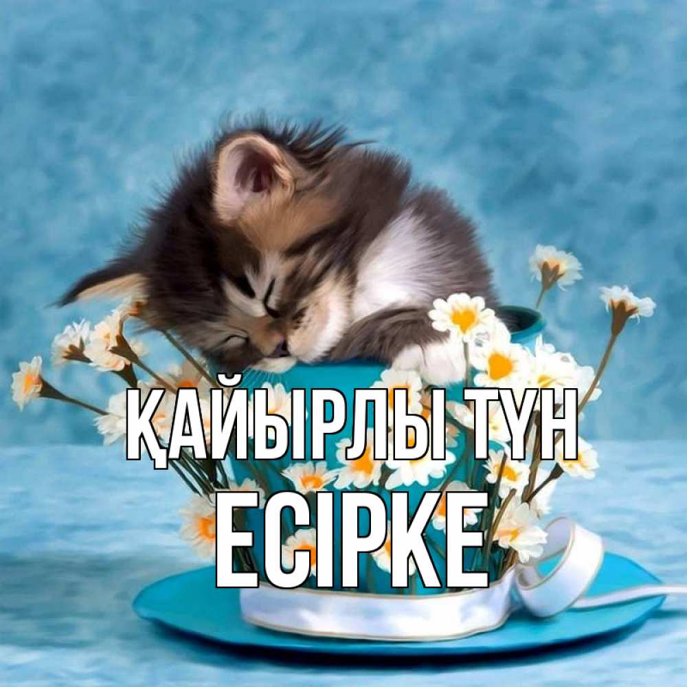 Күн сайын ашық хат с именем, Есірке Қайырлы түн котенок спит в кружке с блюдцем Онлайн тегін жүктеп алу тілектері бар керемет карта 