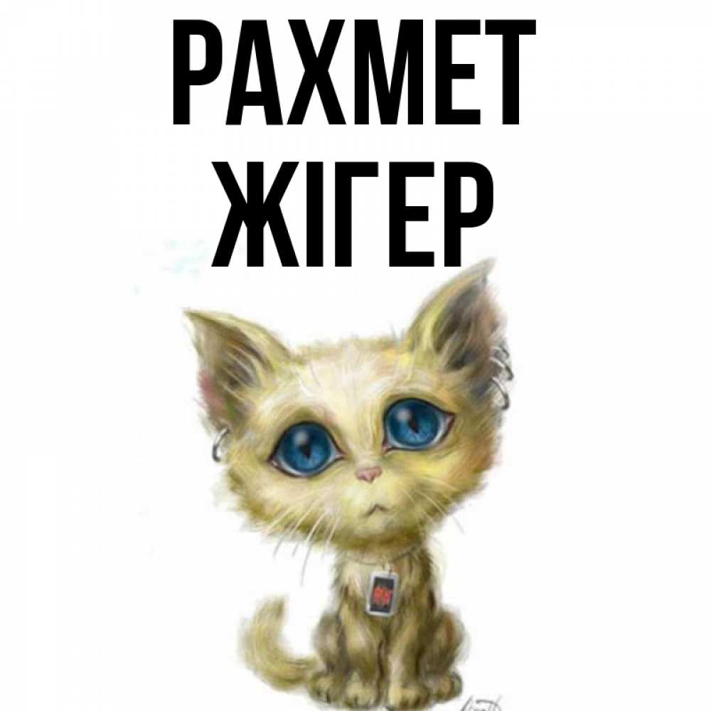 Күн сайын ашық хат с именем, Жігер рахмет рисованный кот благодарит вас Онлайн тегін жүктеп алу тілектері бар керемет карта 
