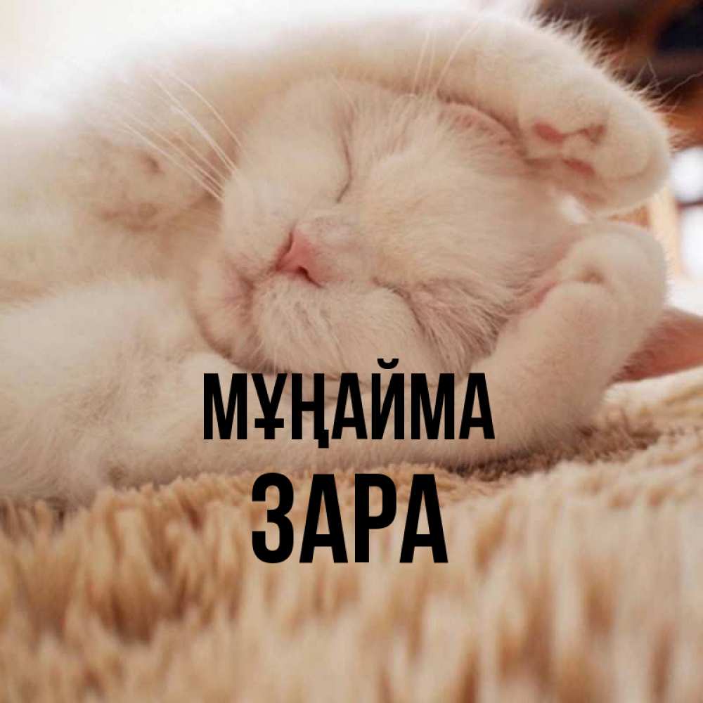 Күн сайын ашық хат с именем, ЗАРА Мұңайма Котенок спит Онлайн тегін жүктеп алу тілектері бар керемет карта 