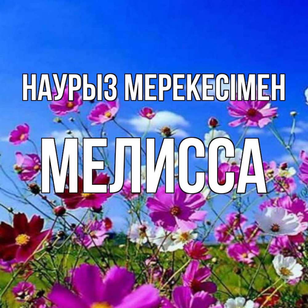 Күн сайын ашық хат с именем, Мелисса Наурыз мерекесімен цветы Онлайн тегін жүктеп алу тілектері бар керемет карта 