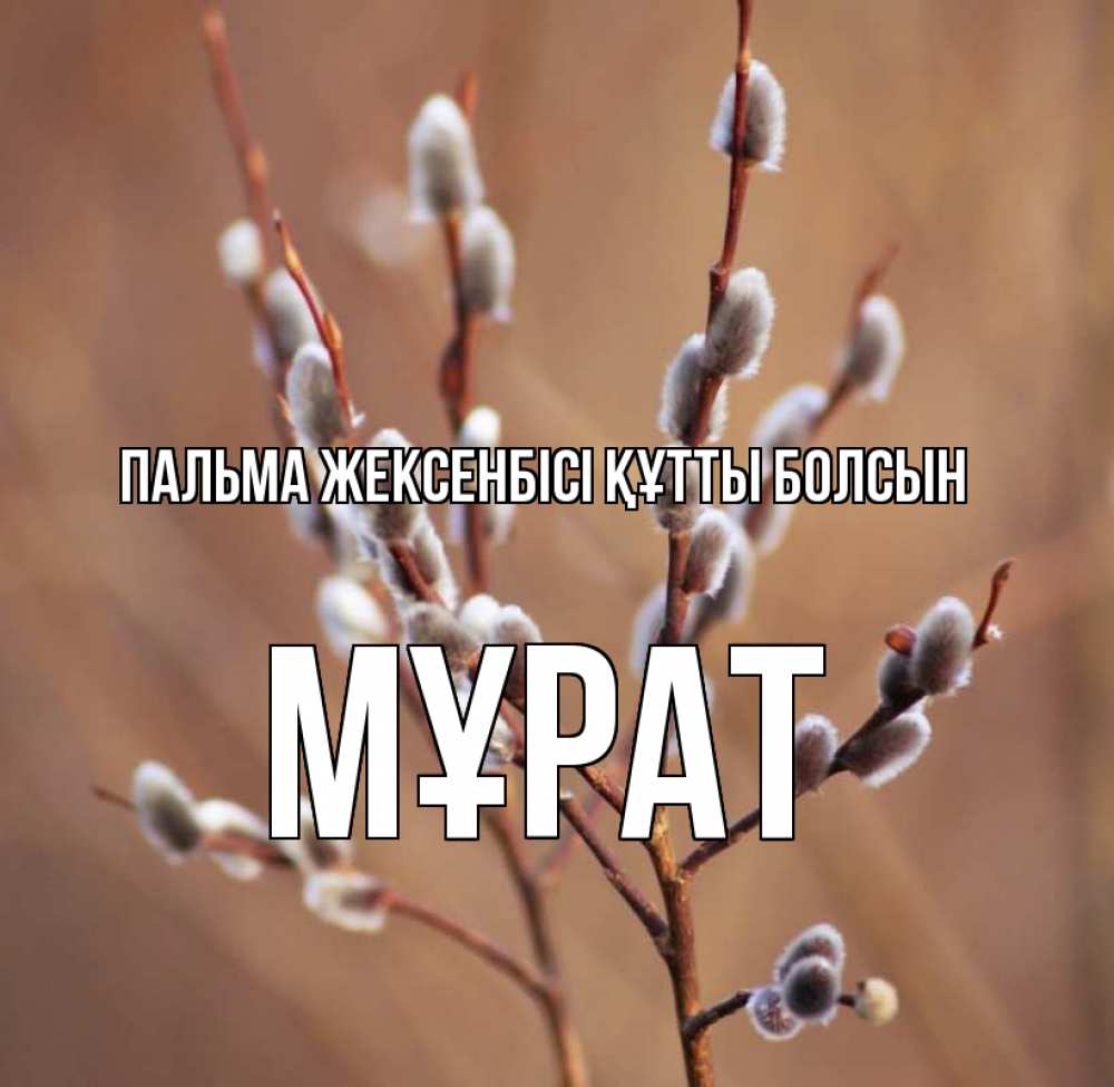 Күн сайын ашық хат с именем, МҰРАТ Пальма жексенбісі құтты болсын верба Онлайн тегін жүктеп алу тілектері бар керемет карта 
