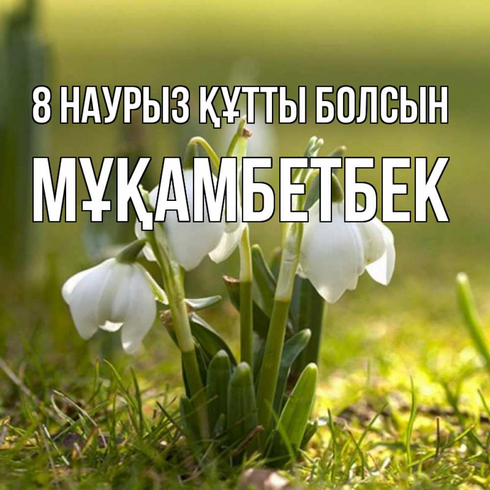 Күн сайын ашық хат с именем, Мұқамбетбек 8 наурыз құтты болсын ранние цветы 2 Онлайн тегін жүктеп алу тілектері бар керемет карта 