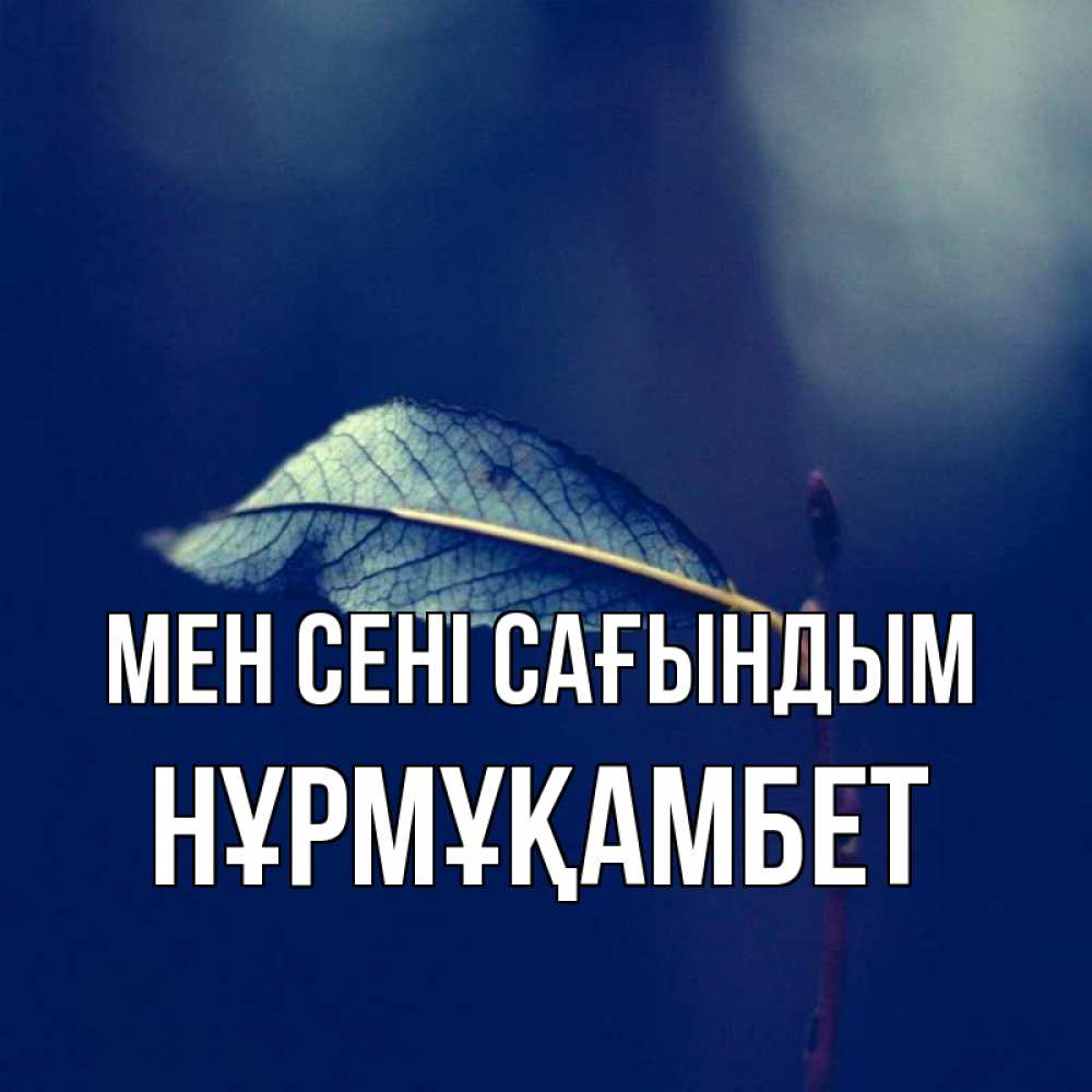 Күн сайын ашық хат с именем, НҰРМҰҚАМБЕТ Мен сені сағындым одна ветка 1 Онлайн тегін жүктеп алу тілектері бар керемет карта 