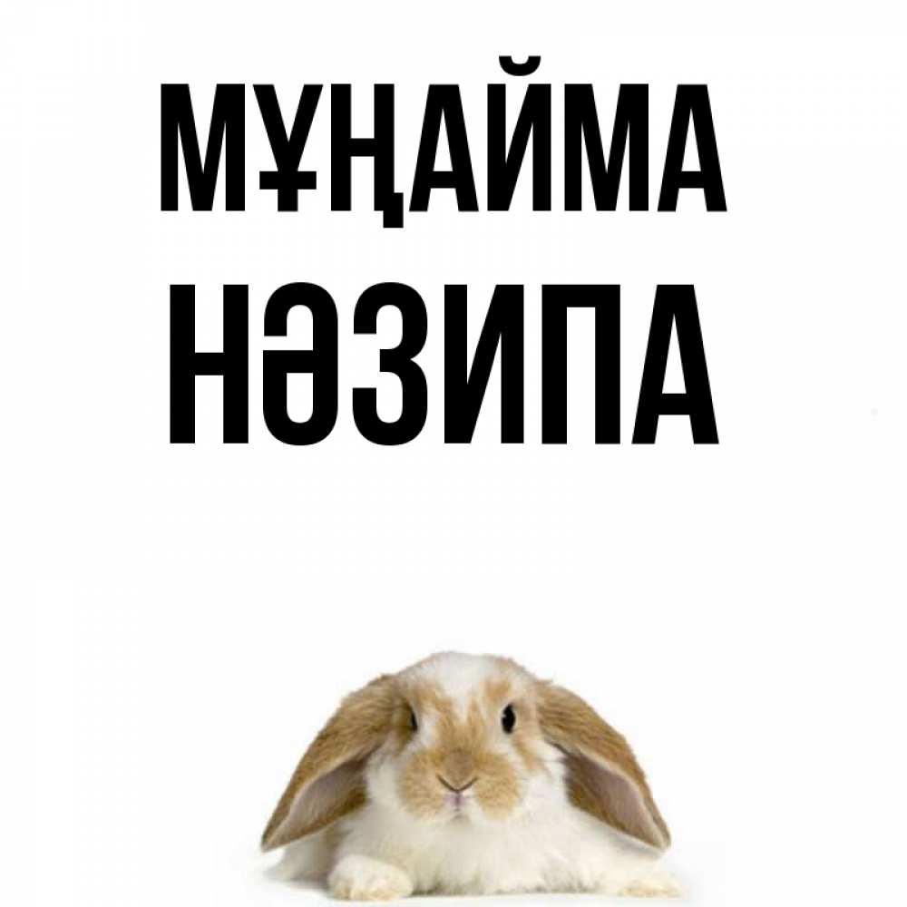 Күн сайын ашық хат с именем, НӘЗИПА Мұңайма коричнево белый заяц с большими ушками Онлайн тегін жүктеп алу тілектері бар керемет карта 