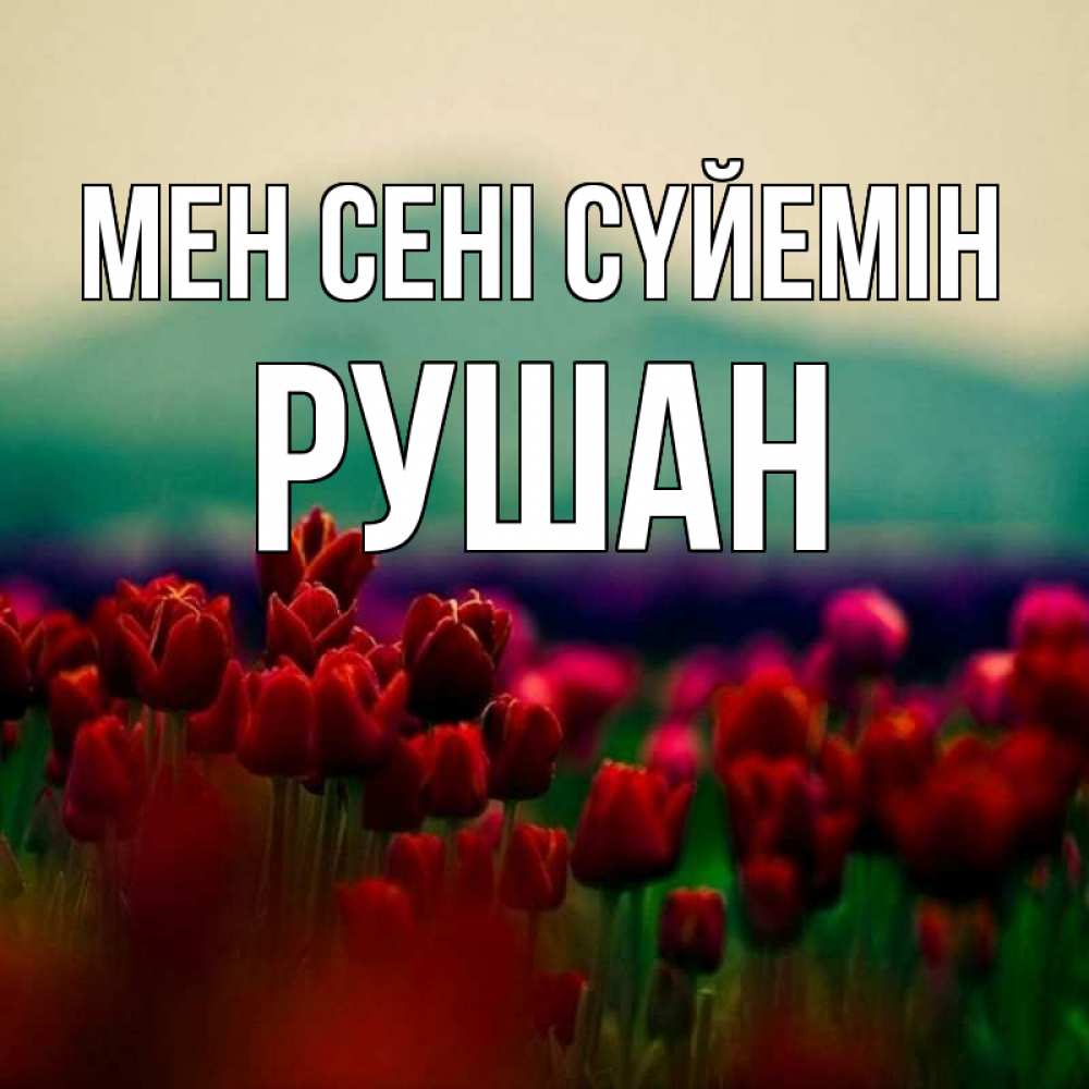 Күн сайын ашық хат с именем, Рушан Мен сені сүйемін тюльпаны 4 Онлайн тегін жүктеп алу тілектері бар керемет карта 