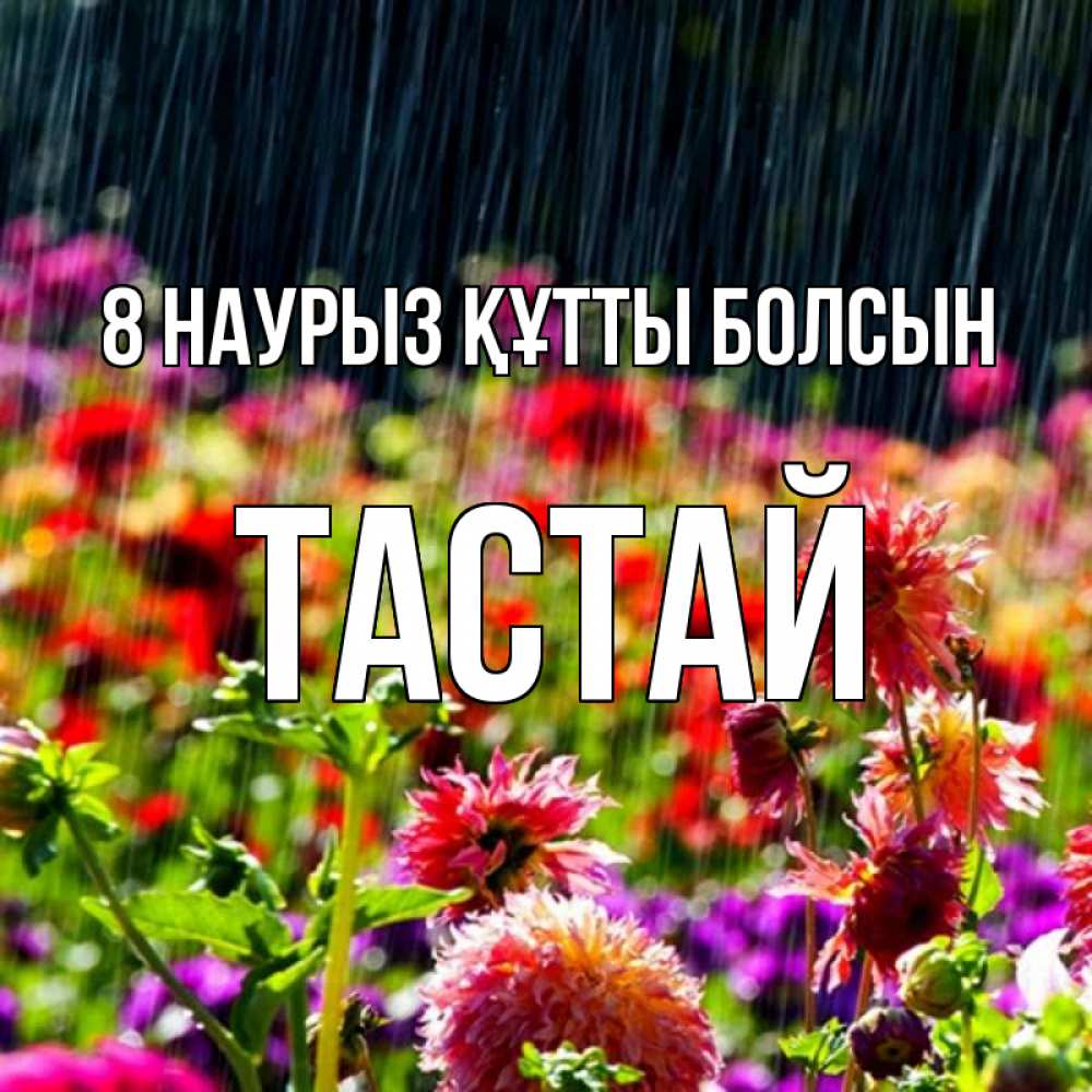 Күн сайын ашық хат с именем, ТАСТАЙ 8 наурыз құтты болсын цветы под дождиком к международному женскому дню Онлайн тегін жүктеп алу тілектері бар керемет карта 