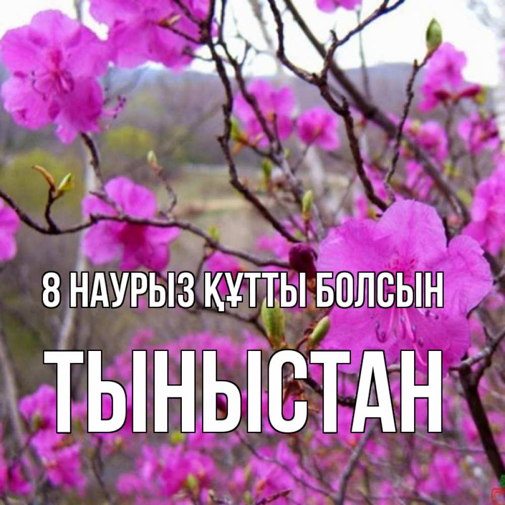 Күн сайын ашық хат с именем, ТЫНЫСТАН 8 наурыз құтты болсын международный женский день Онлайн тегін жүктеп алу тілектері бар керемет карта 