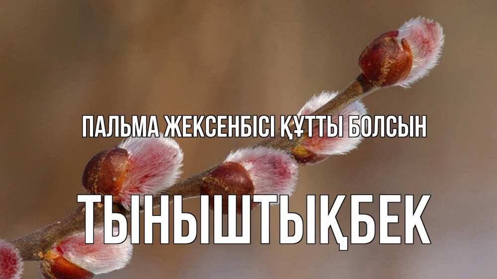 Күн сайын ашық хат с именем, ТЫНЫШТЫҚБЕК Пальма жексенбісі құтты болсын верба Онлайн тегін жүктеп алу тілектері бар керемет карта 