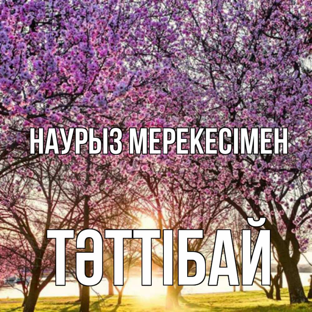 Күн сайын ашық хат с именем, ТӘТТІБАЙ Наурыз мерекесімен праздник весны наурыз Онлайн тегін жүктеп алу тілектері бар керемет карта 