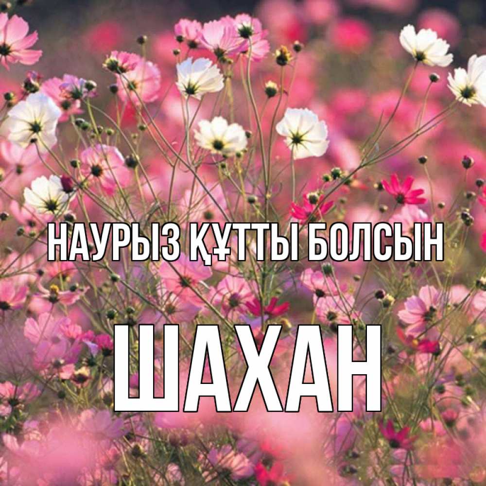 Күн сайын ашық хат с именем, ШАХАН Наурыз құтты болсын красиво 1 Онлайн тегін жүктеп алу тілектері бар керемет карта 