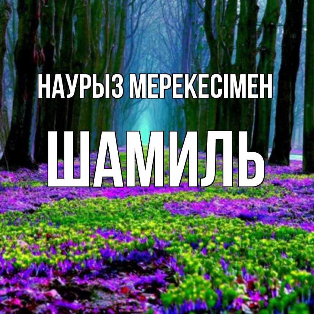 Күн сайын ашық хат с именем, Шамиль Наурыз мерекесімен фиолетовые цветы в лесу 1 Онлайн тегін жүктеп алу тілектері бар керемет карта 