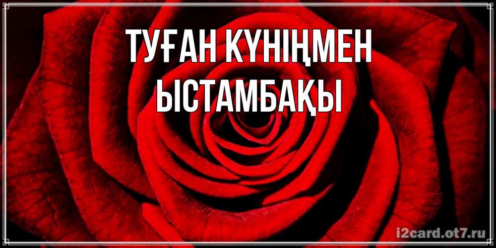 Күн сайын ашық хат с именем, ЫСТАМБАҚЫ Туған күніңмен алая роза Онлайн тегін жүктеп алу тілектері бар керемет карта 