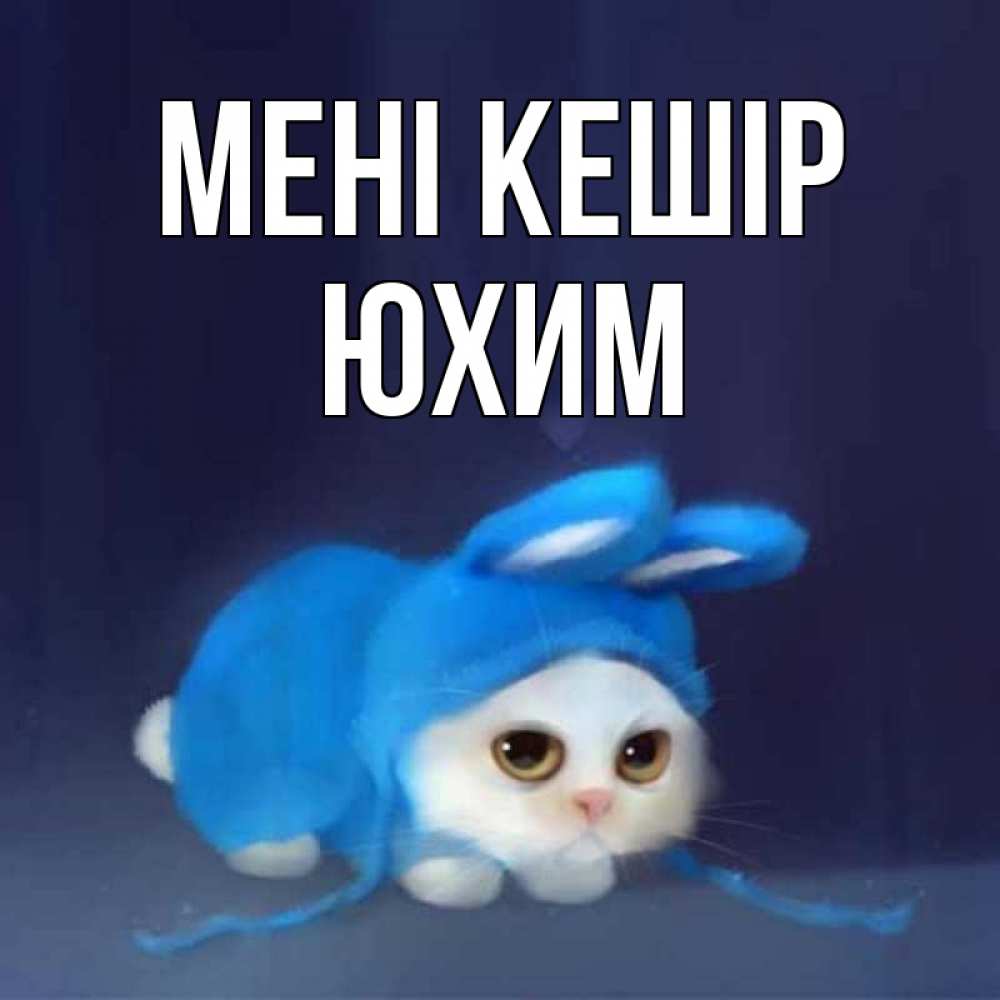 Күн сайын ашық хат с именем, Юхим Мені кешір невинный котозай просит прощения Онлайн тегін жүктеп алу тілектері бар керемет карта 