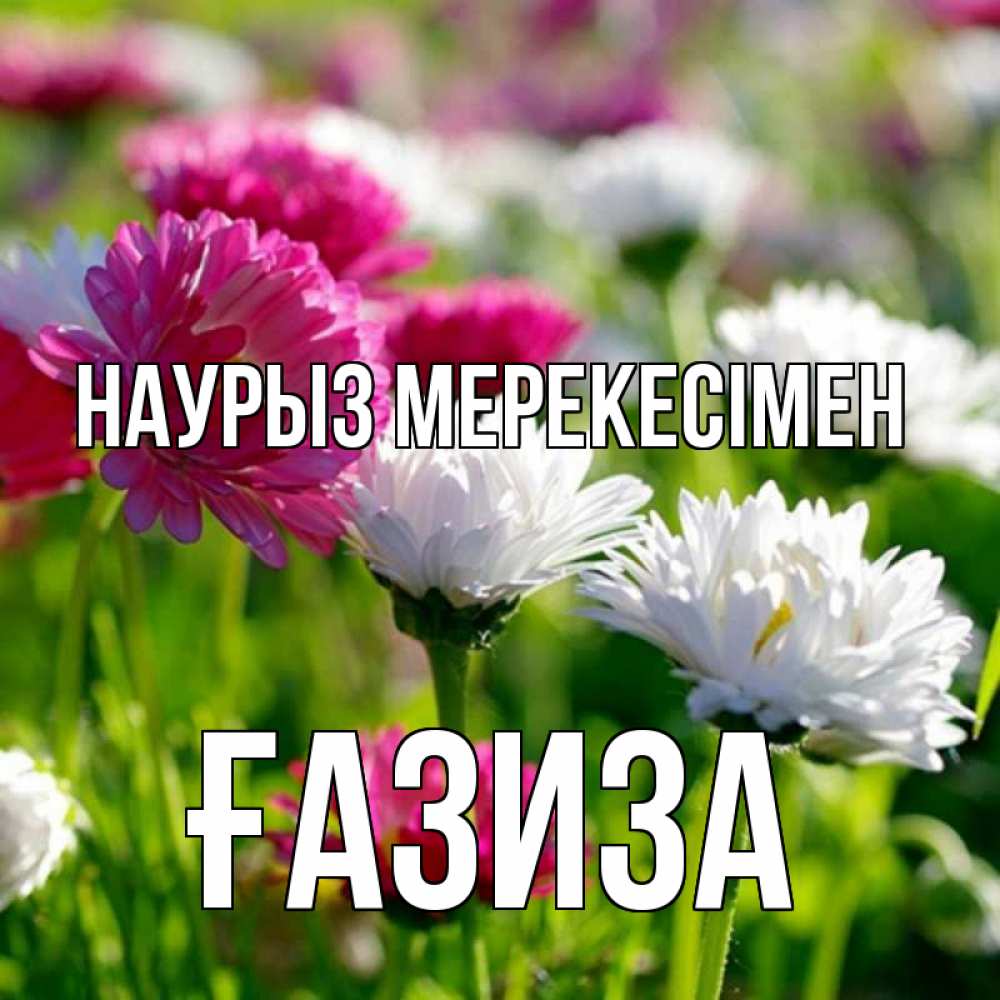 Күн сайын ашық хат с именем, ҒАЗИЗА Наурыз мерекесімен праздник весны наурыз красота Онлайн тегін жүктеп алу тілектері бар керемет карта 