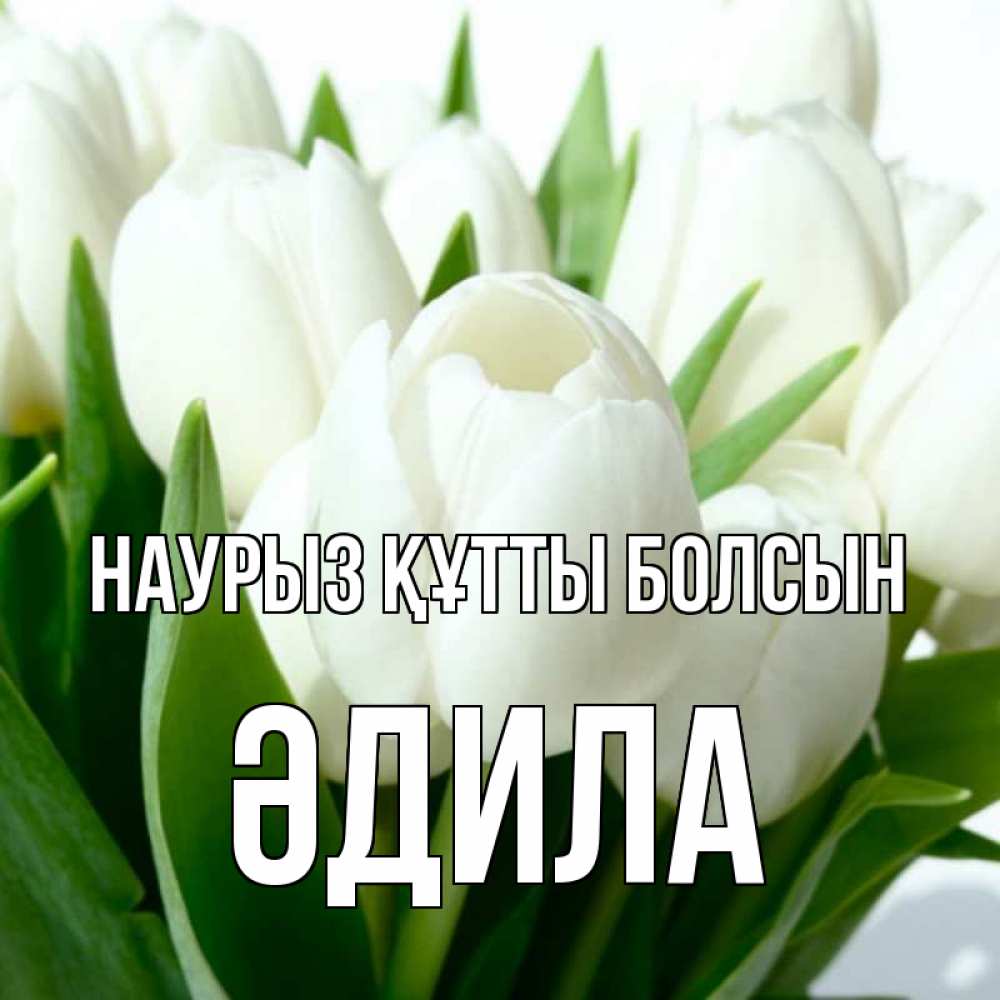 Күн сайын ашық хат с именем, ӘДИЛА Наурыз құтты болсын цветы Онлайн тегін жүктеп алу тілектері бар керемет карта 