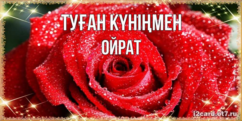 Күн сайын ашық хат с именем, ОЙРАТ Туған күніңмен роса и роза. открытка с красивой розой Онлайн тегін жүктеп алу тілектері бар керемет карта 