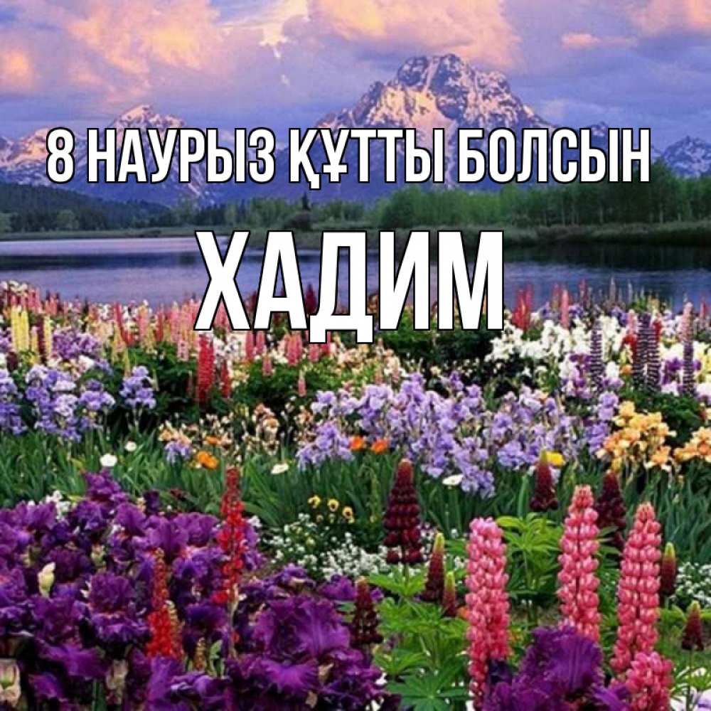 Күн сайын ашық хат с именем, ХАДИМ 8 наурыз құтты болсын международный женский день Онлайн тегін жүктеп алу тілектері бар керемет карта 
