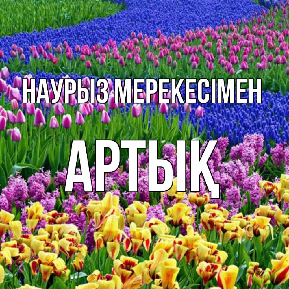 Күн сайын ашық хат с именем, Артық Наурыз мерекесімен цветы Онлайн тегін жүктеп алу тілектері бар керемет карта 