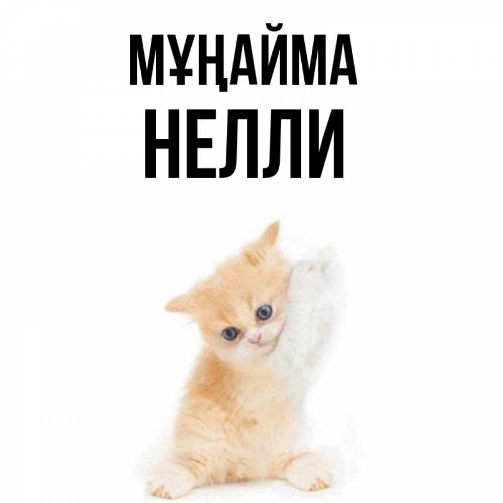 Күн сайын ашық хат с именем, Нелли Мұңайма просящий кот Онлайн тегін жүктеп алу тілектері бар керемет карта 