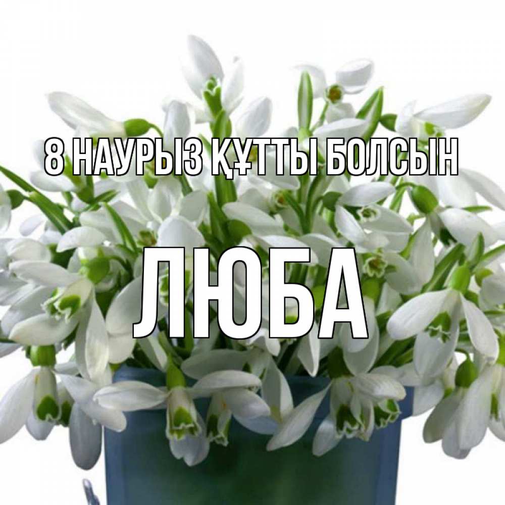 Күн сайын ашық хат с именем, Люба 8 наурыз құтты болсын цветы к международному женскому дню Онлайн тегін жүктеп алу тілектері бар керемет карта 