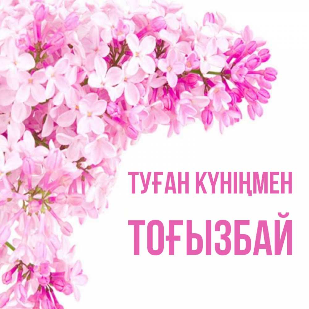 Күн сайын ашық хат с именем, ТОҒЫЗБАЙ Туған күніңмен Сирень на белом фоне Онлайн тегін жүктеп алу тілектері бар керемет карта 