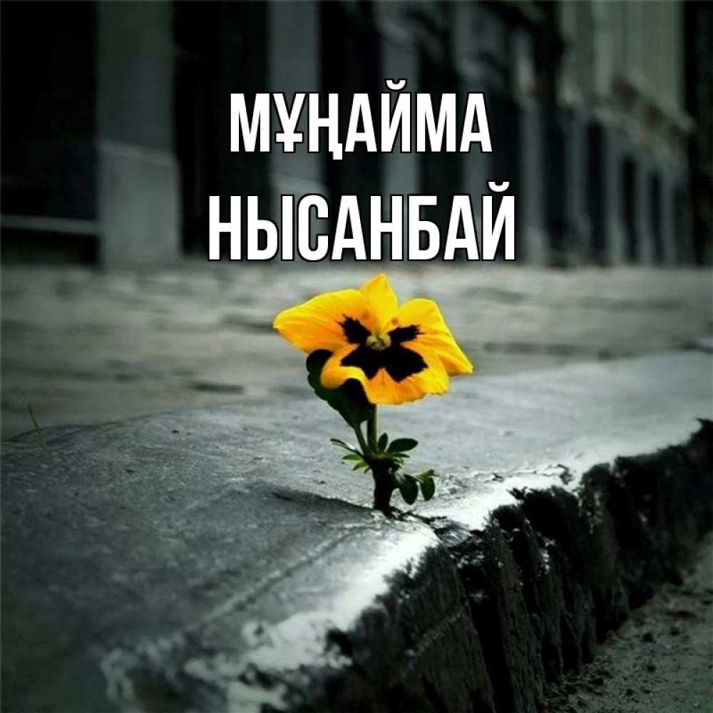 Күн сайын ашық хат с именем, НЫСАНБАЙ Мұңайма не сдавайся Онлайн тегін жүктеп алу тілектері бар керемет карта 