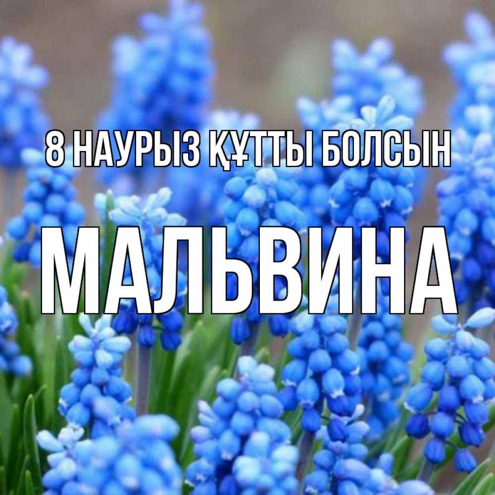 Күн сайын ашық хат с именем, Мальвина 8 наурыз құтты болсын Поздравительная открытка для женщин с цветами на праздничную дату Онлайн тегін жүктеп алу тілектері бар керемет карта 