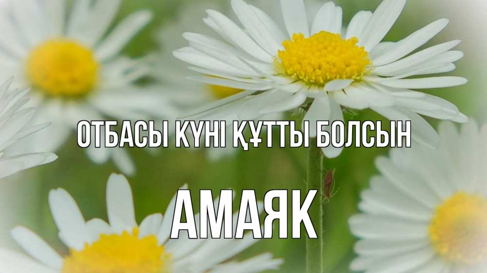 Күн сайын ашық хат с именем, Амаяк отбасы күні құтты болсын с днем семьи  1 Онлайн тегін жүктеп алу тілектері бар керемет карта 