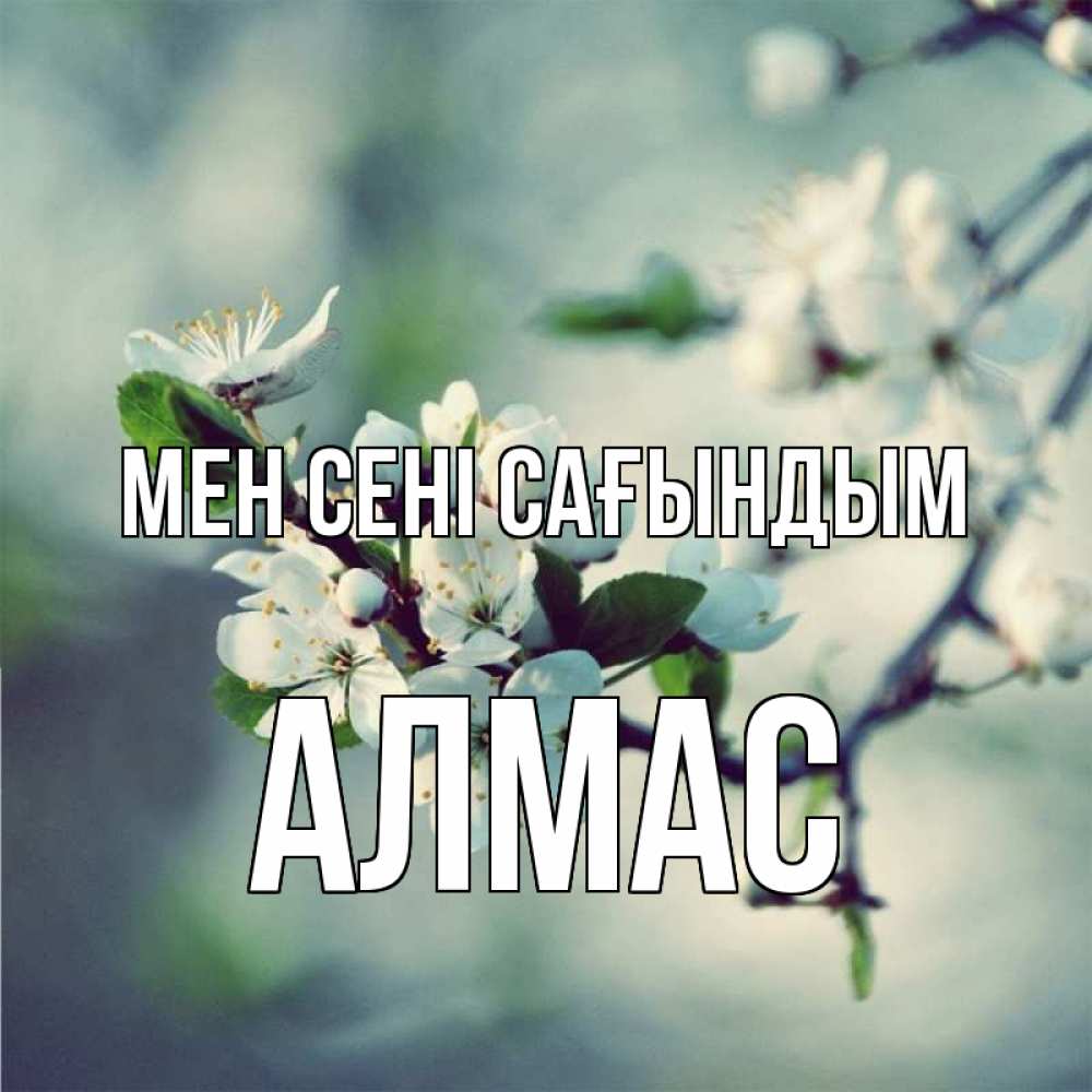 Күн сайын ашық хат с именем, Алмас Мен сені сағындым весна Онлайн тегін жүктеп алу тілектері бар керемет карта 