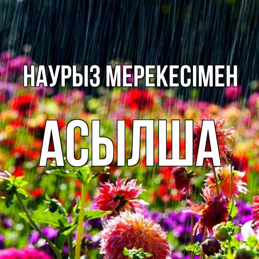 Күн сайын ашық хат с именем, АСЫЛША Наурыз мерекесімен цветы под дождиком к международному женскому дню Онлайн тегін жүктеп алу тілектері бар керемет карта 