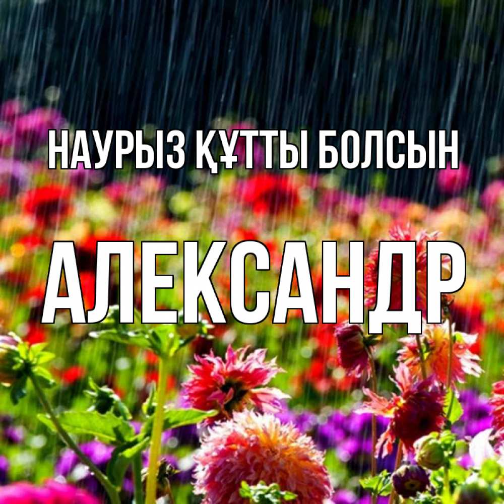Күн сайын ашық хат с именем, Александр Наурыз құтты болсын цветы под дождиком к наурызу Онлайн тегін жүктеп алу тілектері бар керемет карта 