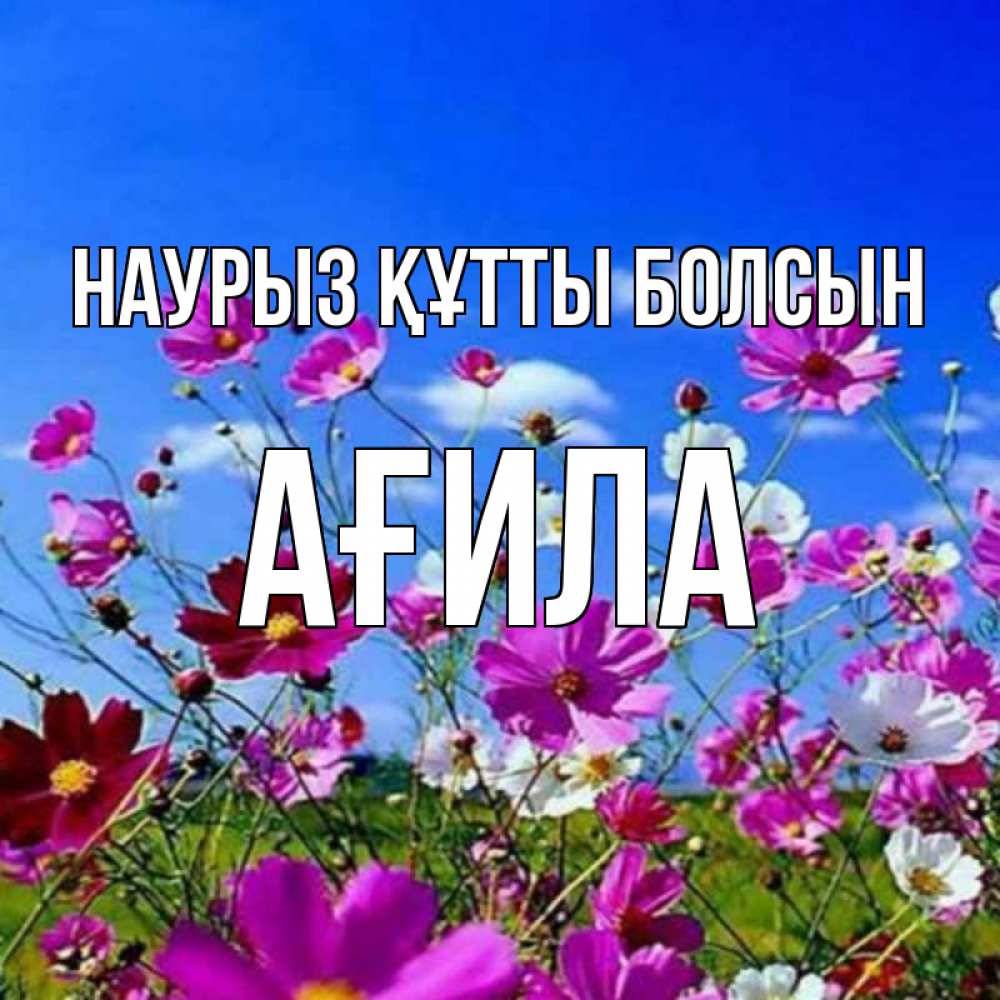 Күн сайын ашық хат с именем, АҒИЛА Наурыз құтты болсын цветы Онлайн тегін жүктеп алу тілектері бар керемет карта 