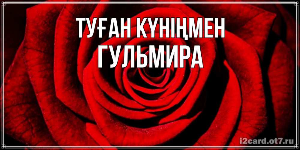 Күн сайын ашық хат с именем, Гульмира Туған күніңмен алая роза Онлайн тегін жүктеп алу тілектері бар керемет карта 