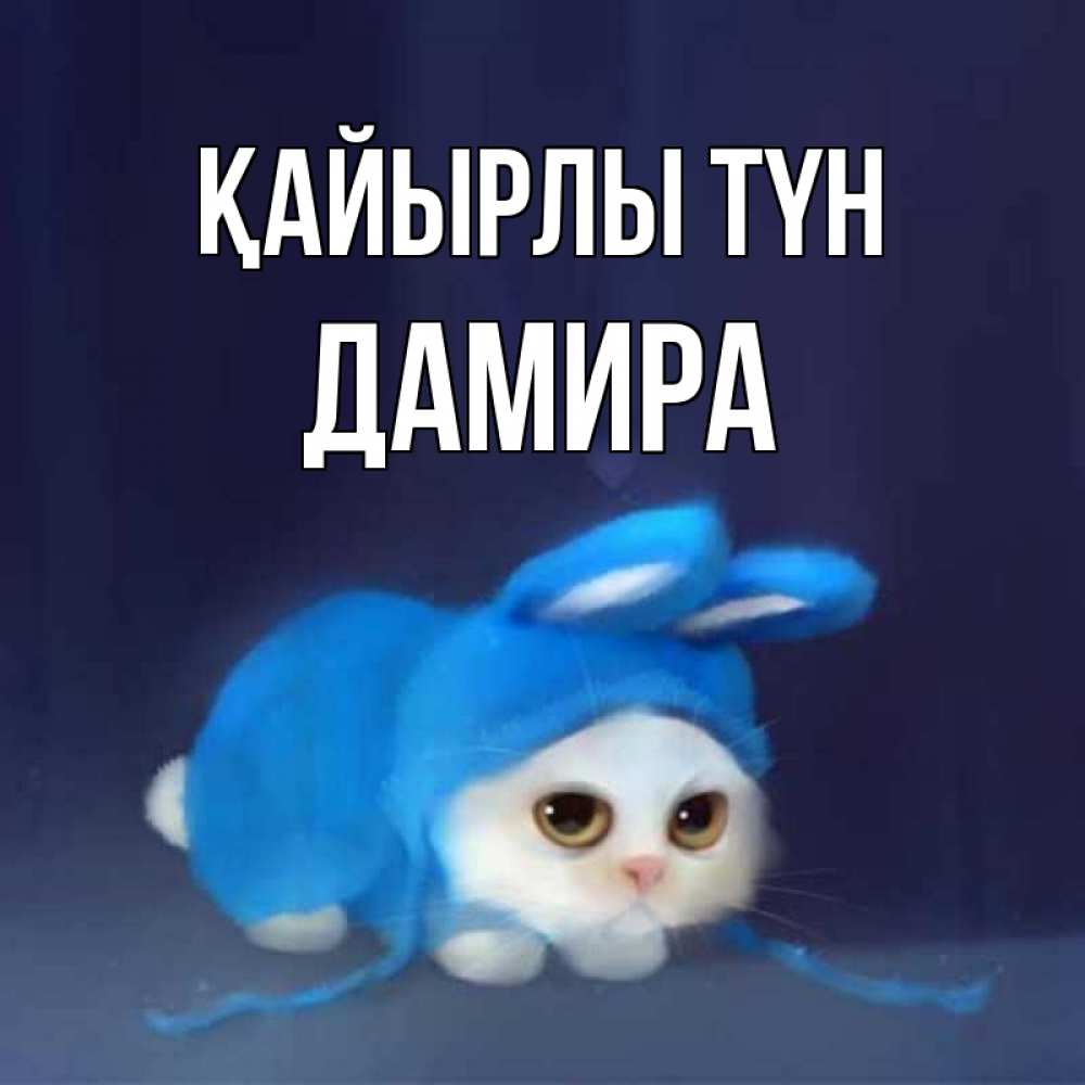 Күн сайын ашық хат с именем, ДАМИРА Қайырлы түн кот в голубом костюме кролика с ушками Онлайн тегін жүктеп алу тілектері бар керемет карта 
