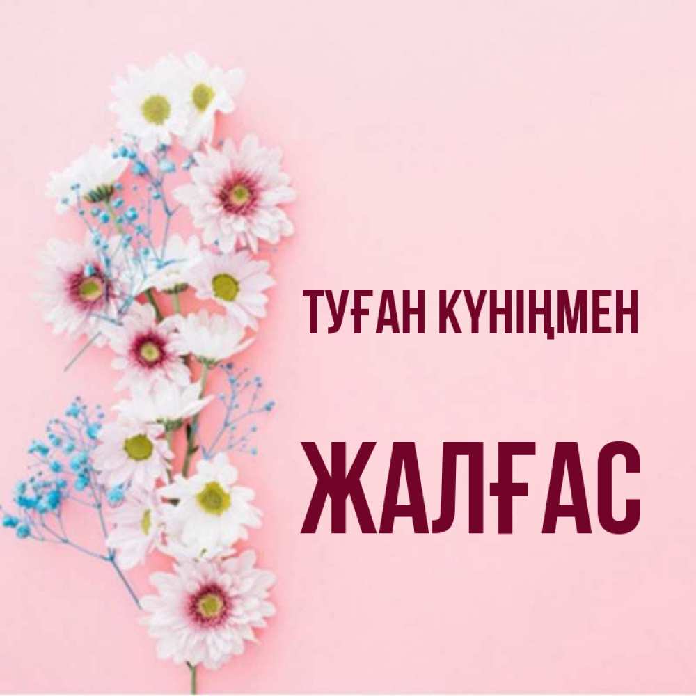 Күн сайын ашық хат с именем, Жалғас Туған күніңмен Родная моя с днем рождения тебя картинка с цветами белыми и голубыми Онлайн тегін жүктеп алу тілектері бар керемет карта 