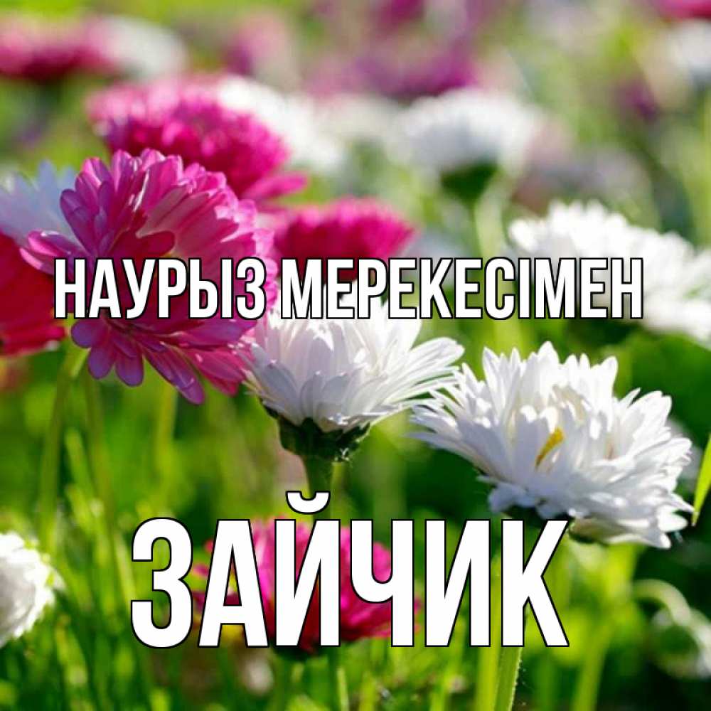 Күн сайын ашық хат с именем, Зайчик Наурыз мерекесімен праздник весны наурыз красота Онлайн тегін жүктеп алу тілектері бар керемет карта 