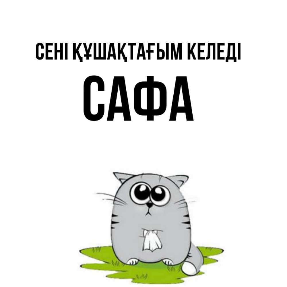 Күн сайын ашық хат с именем, САФА сені құшақтағым келеді котик теребит платочек сидя на травке Онлайн тегін жүктеп алу тілектері бар керемет карта 