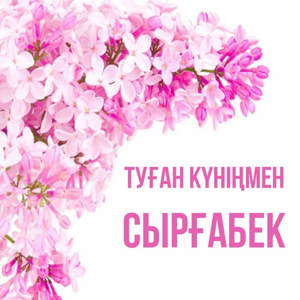 Күн сайын ашық хат с именем, СЫРҒАБЕК Туған күніңмен Сирень на белом фоне Онлайн тегін жүктеп алу тілектері бар керемет карта 