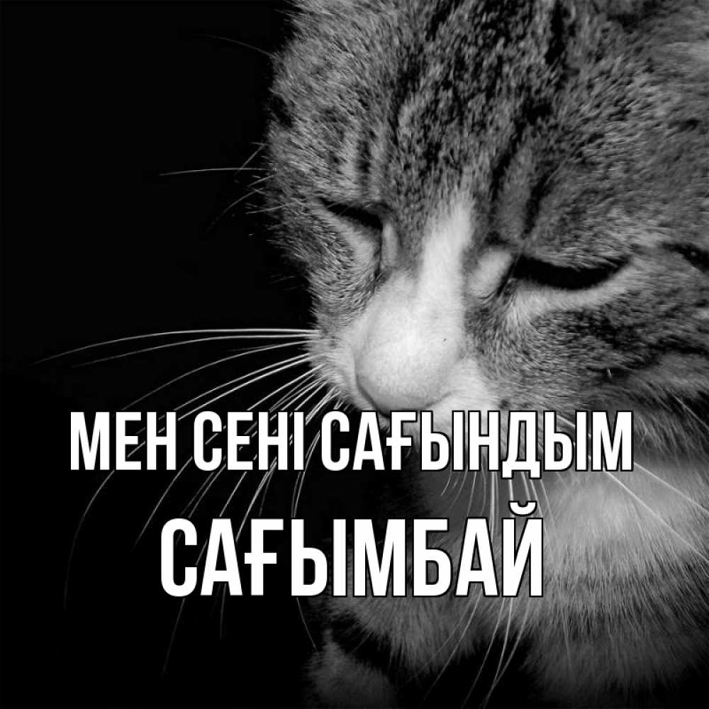 Күн сайын ашық хат с именем, Сағымбай Мен сені сағындым мне скучно Онлайн тегін жүктеп алу тілектері бар керемет карта 