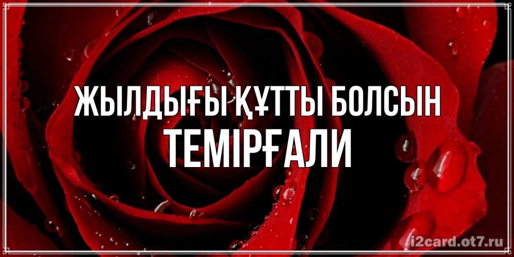 Күн сайын ашық хат с именем, ТЕМІРҒАЛИ Жылдығы құтты болсын крупная бордовая роза Онлайн тегін жүктеп алу тілектері бар керемет карта 