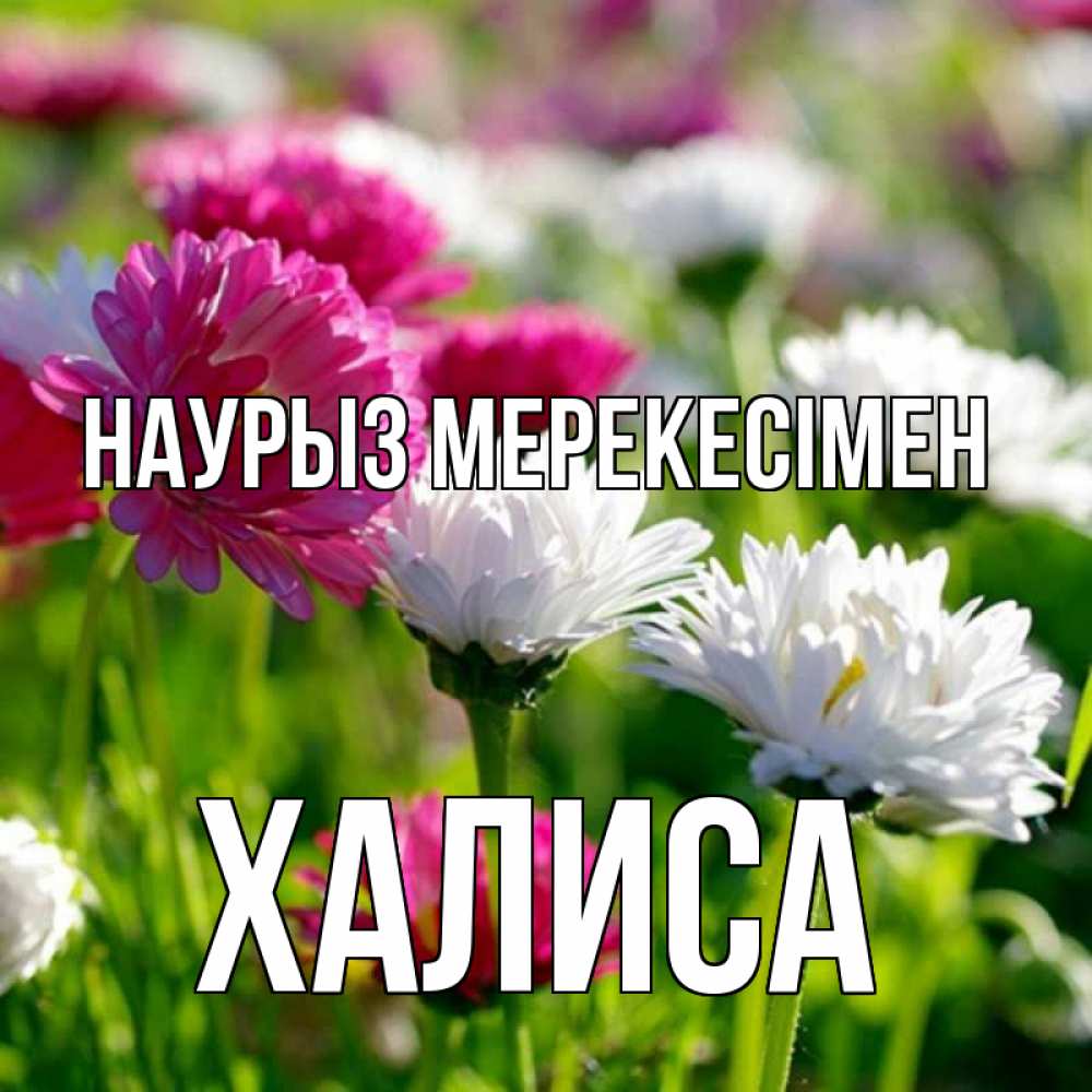 Күн сайын ашық хат с именем, ХАЛИСА Наурыз мерекесімен праздник весны наурыз красота Онлайн тегін жүктеп алу тілектері бар керемет карта 