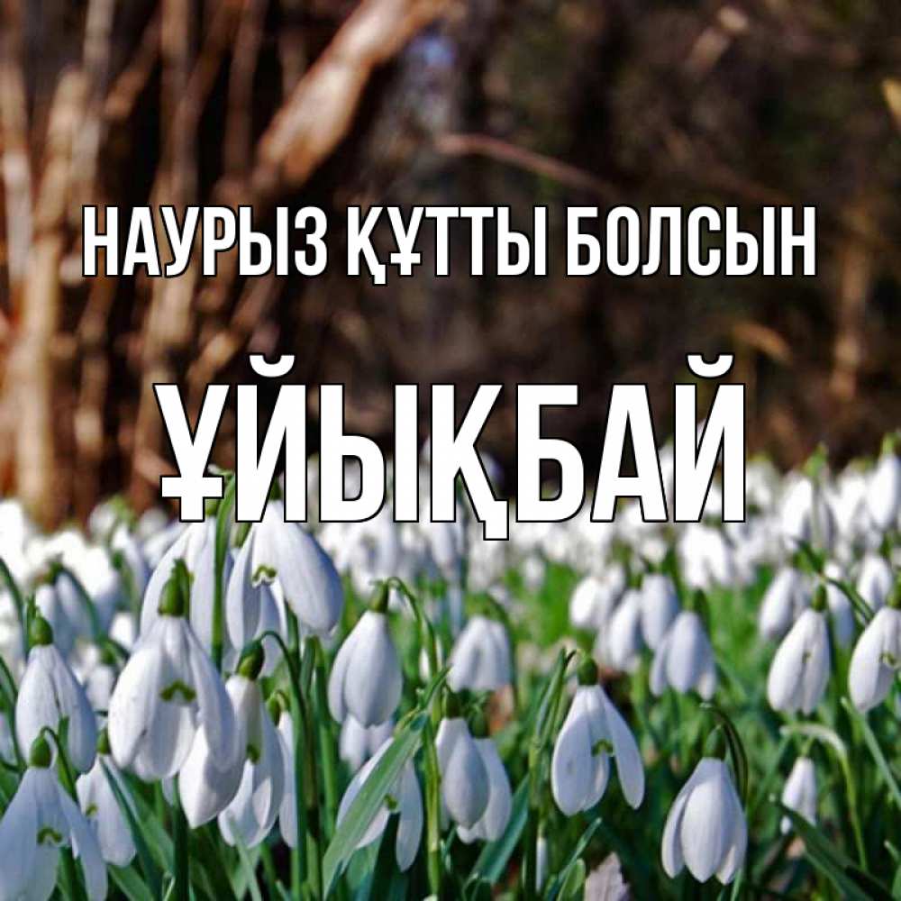 Күн сайын ашық хат с именем, ҰЙЫҚБАЙ Наурыз құтты болсын с подснежниками 1 Онлайн тегін жүктеп алу тілектері бар керемет карта 