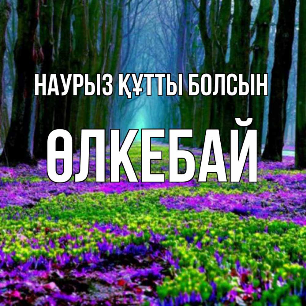 Күн сайын ашық хат с именем, ӨЛКЕБАЙ Наурыз құтты болсын фиолетовые цветы в лесу 1 Онлайн тегін жүктеп алу тілектері бар керемет карта 