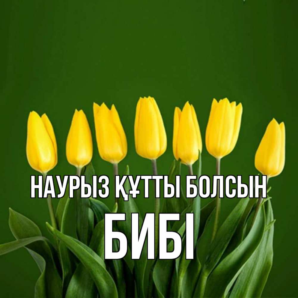 Күн сайын ашық хат с именем, БИБІ Наурыз құтты болсын желтого цвета 3 Онлайн тегін жүктеп алу тілектері бар керемет карта 