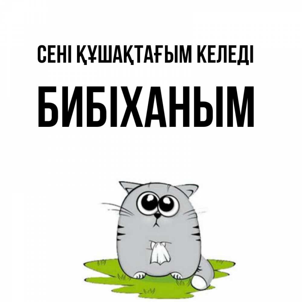 Күн сайын ашық хат с именем, БИБІХАНЫМ сені құшақтағым келеді котик теребит платочек сидя на травке Онлайн тегін жүктеп алу тілектері бар керемет карта 