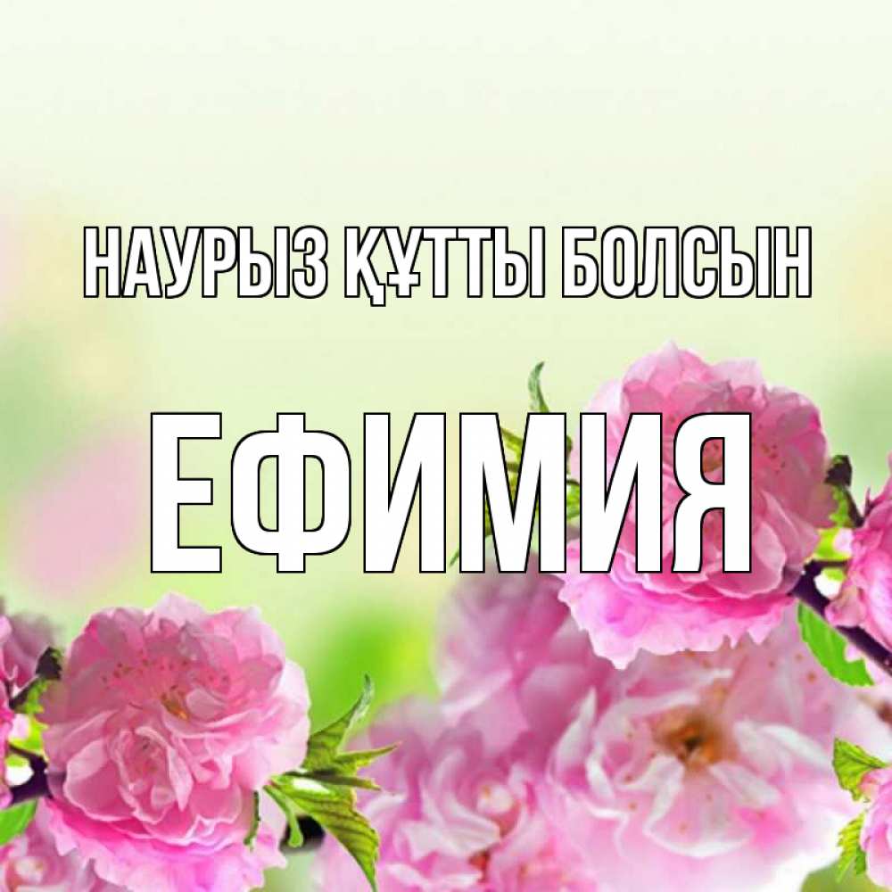 Күн сайын ашық хат с именем, Ефимия Наурыз құтты болсын цветы Онлайн тегін жүктеп алу тілектері бар керемет карта 