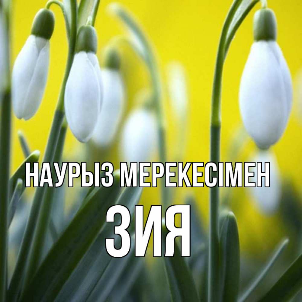 Күн сайын ашық хат с именем, ЗИЯ Наурыз мерекесімен весенние цветы Онлайн тегін жүктеп алу тілектері бар керемет карта 