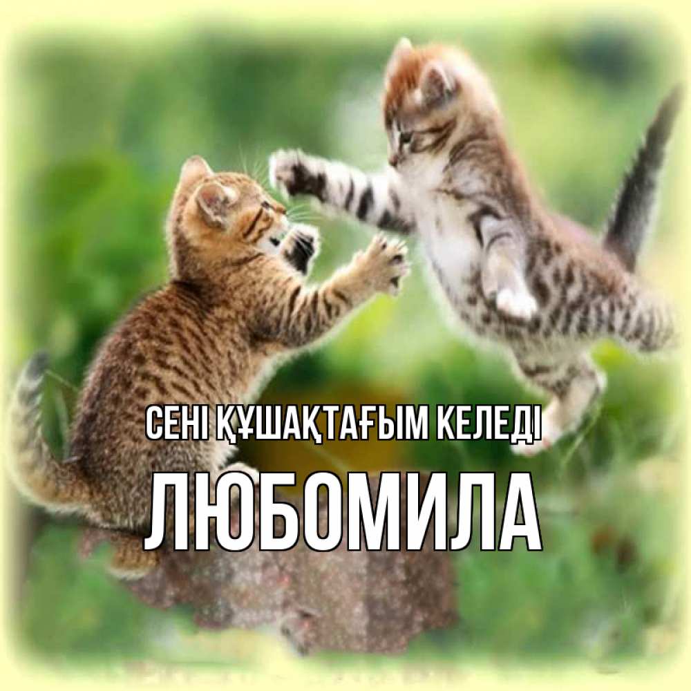 Күн сайын ашық хат с именем, Любомила сені құшақтағым келеді игры котят Онлайн тегін жүктеп алу тілектері бар керемет карта 
